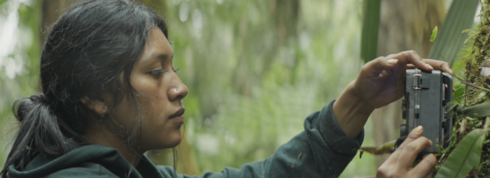 Corteza | Bark - Cinta de Simón Acosta. Se ve a la guardabosques poniendo una cámara en el bosque | Cine del Sur Global