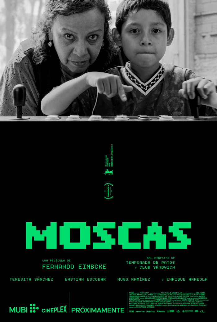 Afiche oficial de Moscas. 